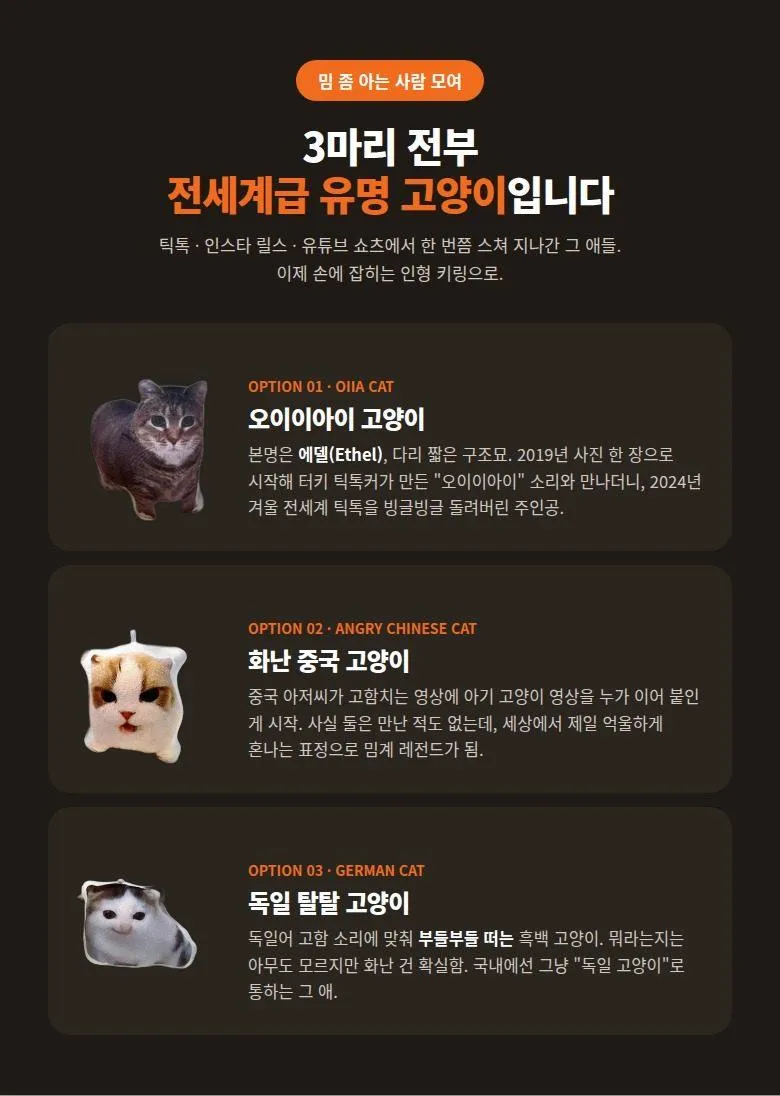 고양이 밈 사운드 키링 상세 2