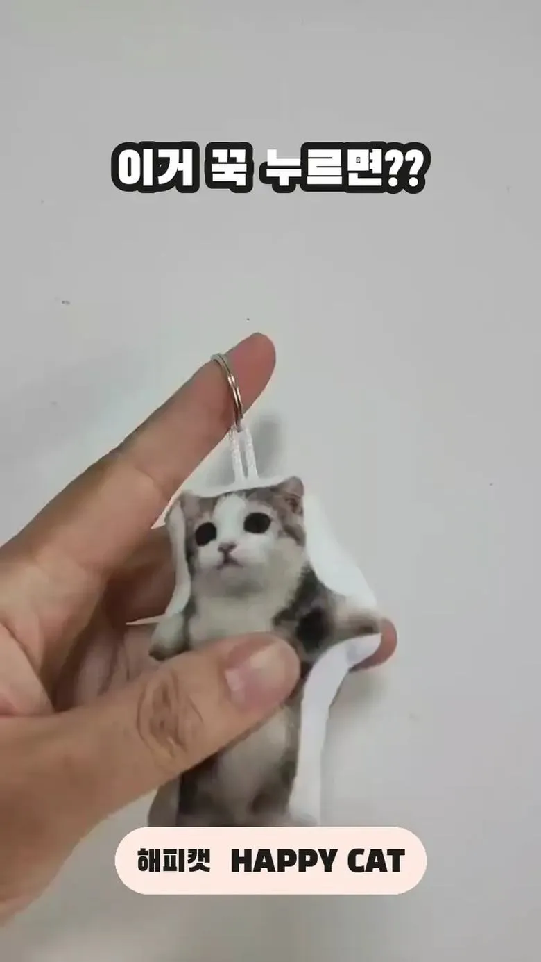 고양이 밈 키링 2개 세트 상세 1