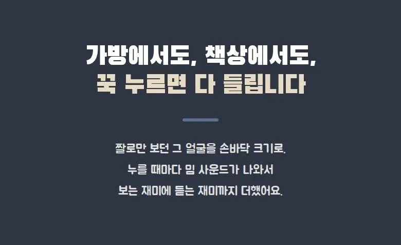 고양이 밈 키링 3종 세트 상세 2