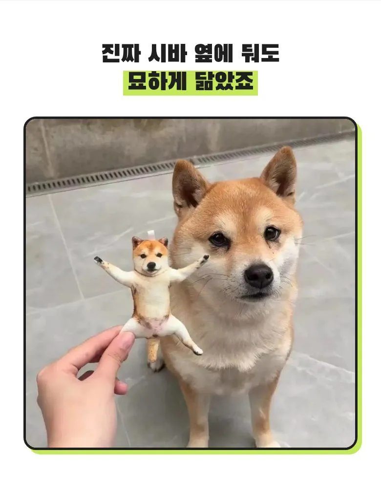 개밤티 키링 상세 6