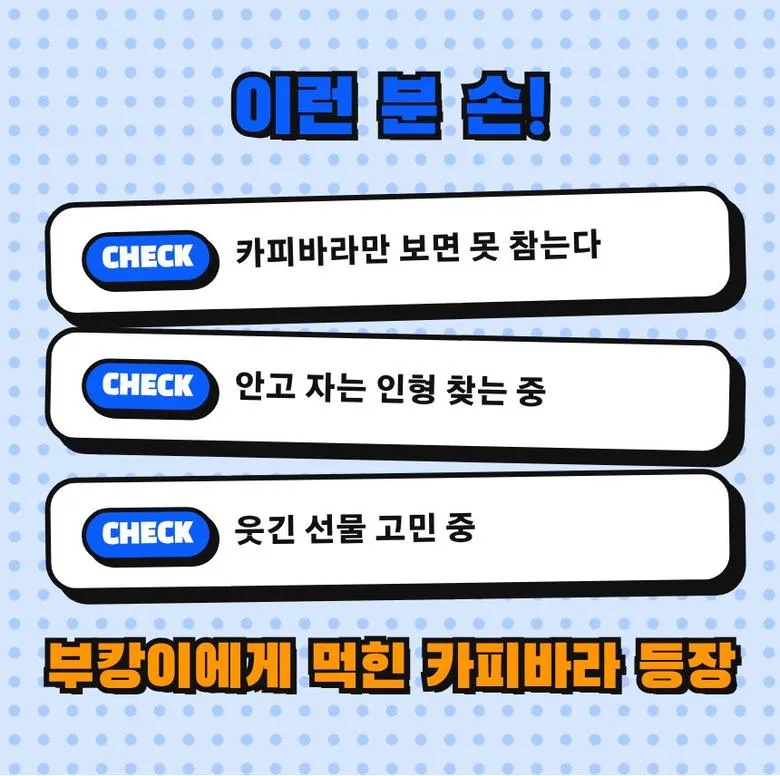 카피바라 먹은 부캉이 35cm 상세 2